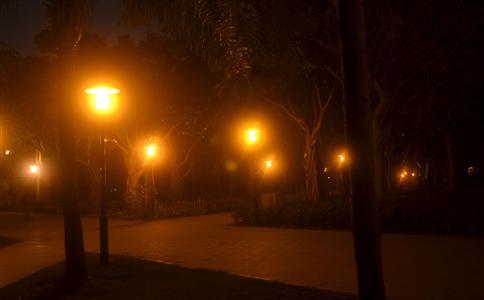 a8444d92-f429-4b1f-8d10-180de2449dfe.jpg